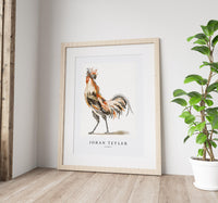 Johan Teyler - A Cock (2)