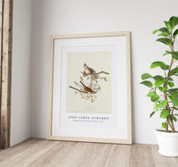 John James Audubon - Song Sparrow from Birds of America (1827)