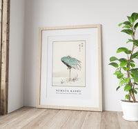 Numata Kashu - White-naped Crane and New Years Fern illustration from Pictorial Monograph of Birds (1885)