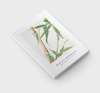 Megata Morikaga - Japanese Bamboo during 1870–1880