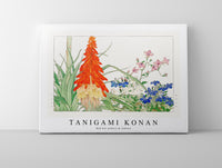 Tanigami Konan - Red hot pokers & lobelia