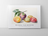 Michiel Van Huysum - Fruits by Michiel van Huysum (1714-1760)