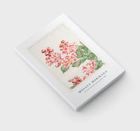 Megata Morikaga - Sarusubi blossoms during 1870–1880