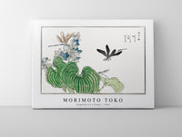 Morimoto Toko-Dragonfly on a flower illustration from Churui Gafu (1910)