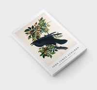 John James Audubon - Raven from Birds of America (1827)
