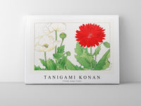 Tanigami Konan - Vintage poppy flower
