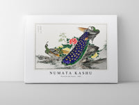 Numata Kashu - Peacock and Peony illustration from Pictorial Monograph of Birds (1885)