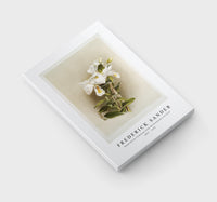 Frederick Sander - Dendrobium formosum from Reichenbachia Orchids-1847-1920