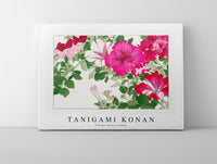 Tanigami Konan - Vintage petunia flower