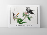 Morimoto Toko - Butterfly and flower illustration from Churui Gafu (1910)