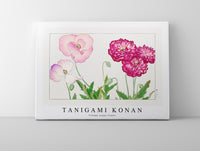 Tanigami Konan - Vintage poppy flower