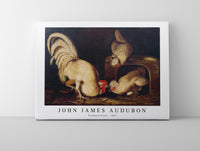 John James Audubon - Farmyard Fowls (ca. 1827)