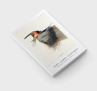 John James Audubon - Barn Swallow from Birds of America (1827)
