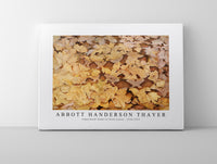 abbott handerson thayer - Copperhead Snake on Dead Leaves-1910-1915