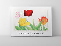 Tanigami Konan - Vintage tulip