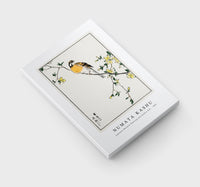 Numata Kashu - Japanese Meadow Bunting and Golden Ball illustration from Pictorial Monograph of Birds (1885)