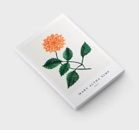 Mary Altha Nims - Dahlia