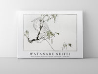 Watanabe Seitei - White cockatoo perched on a branch. Illustration 1890-1891