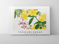 Tanigami Konan - Vintage clarkia & allamanda flower