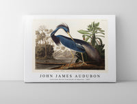 John James Audubon - Louisiana Heron from Birds of America (1827)