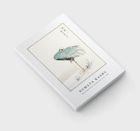 Numata Kashu - White-naped Crane and New Years Fern illustration from Pictorial Monograph of Birds (1885)