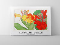 Tanigami Konan - Vintage canna flower