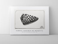 Samuel Jessurun De Mesquita - Right side of shell (Schelp, naar rechts) (1907)