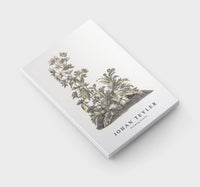 Johan Teyler - Blooming thistles