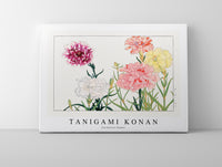 Tanigami Konan - Carnation flower