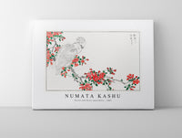 Numata Kashu - Parrot and Pyrus spectabilis illustration from Pictorial Monograph of Birds (1885)