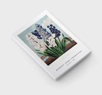 Robert John Thornton - Hyacinths from The Temple of Flora (1807)