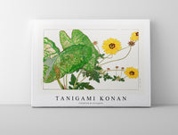 Tanigami Konan - Caladium & coreopsis