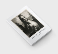 Odilon Redon - The Wing 1893