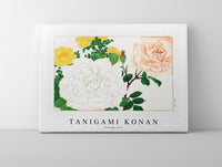 Tanigami Konan - Vintage rose