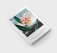 Robert John Thornton - The Nodding Renealmia from The Temple of Flora (1807)