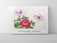 Tanigami Konan - Poppy flower