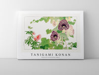 Tanigami Konan - Albizia & aristolochia flower