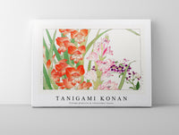 Tanigami Konan - Vintage gladiolus & schizanthus flower