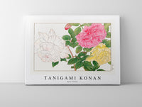 Tanigami Konan - Rose flower