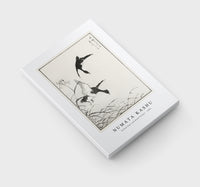 Numata Kashu - Tufted-Teal and Reed Flower illustration from Pictorial Monograph of Birds (1885)