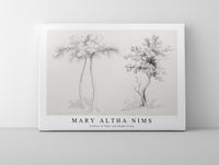 Mary Altha Nims - Studies of Upas and Maple Trees