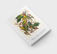 John James Audubon - Carolina Parrot from Birds of America (1827)