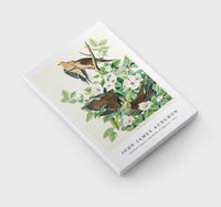 John James Audubon - Carolina Pigeon from Birds of America (1827)