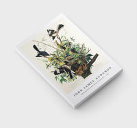 John James Audubon - Mocking Bird from Birds of America (1827)