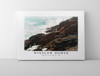 winslow homer - High Cliff, Coast of Maine-1894