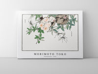 Morimoto Toko - Pomegranate illustration from Churui Gafu (1910)