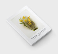 Frederick Sander - Dendrobium brymerianum from Reichenbachia Orchids-1847-1920