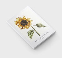 Johan Teyler - A sunflower