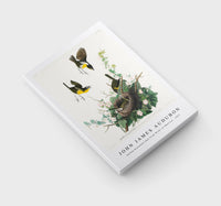 John James Audubon - Yellow-breasted Chat from Birds of America (1827)