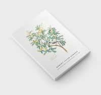 Robert Jacob Gordon - Acacia karroo Hayne or Vachellia karroo (1777–1786)